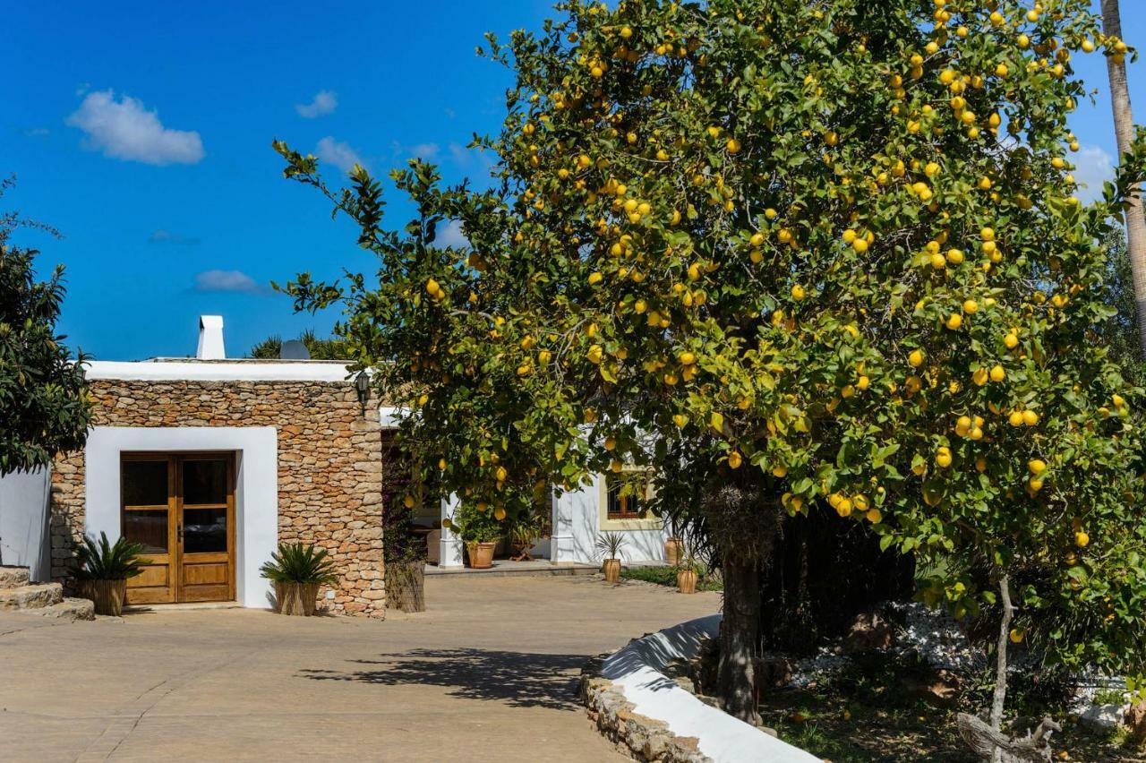 Villa Can Fita Puig D'en Valls Luaran gambar